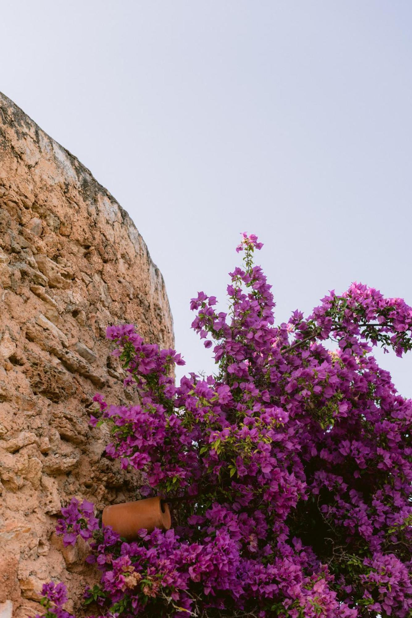 Can Quince Balafia Ibiza Hotel - Turismo De Interior Sant Llorenc de Balafia Extérieur photo